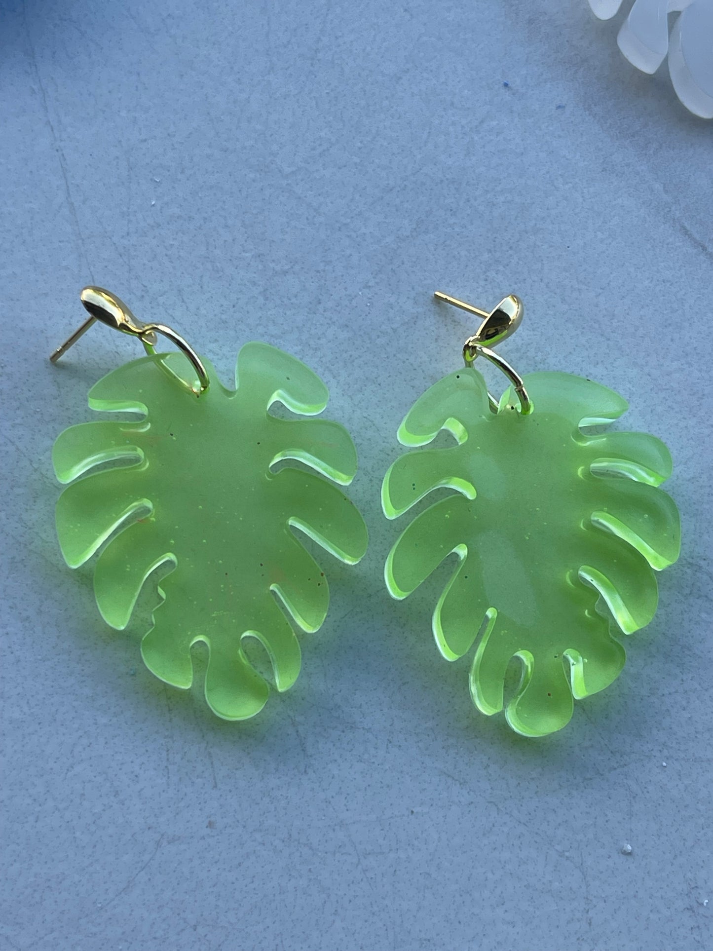 Fashion earrings